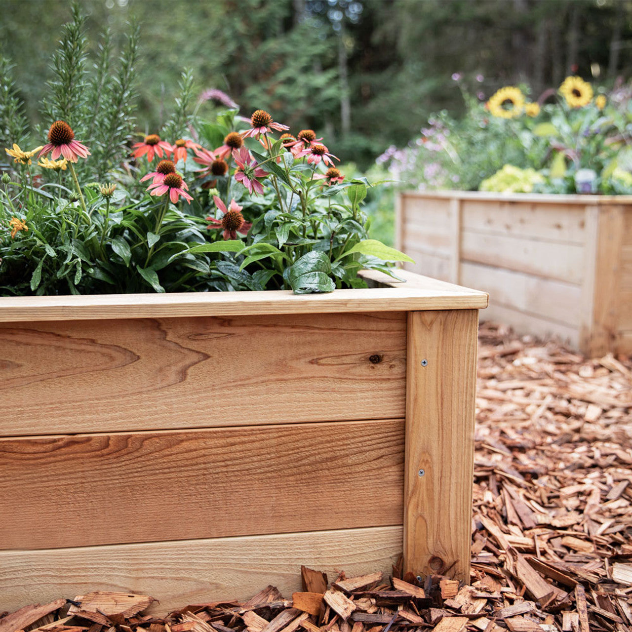 Eartheasy Natural Cedar L-Shaped Raised Garden Bed