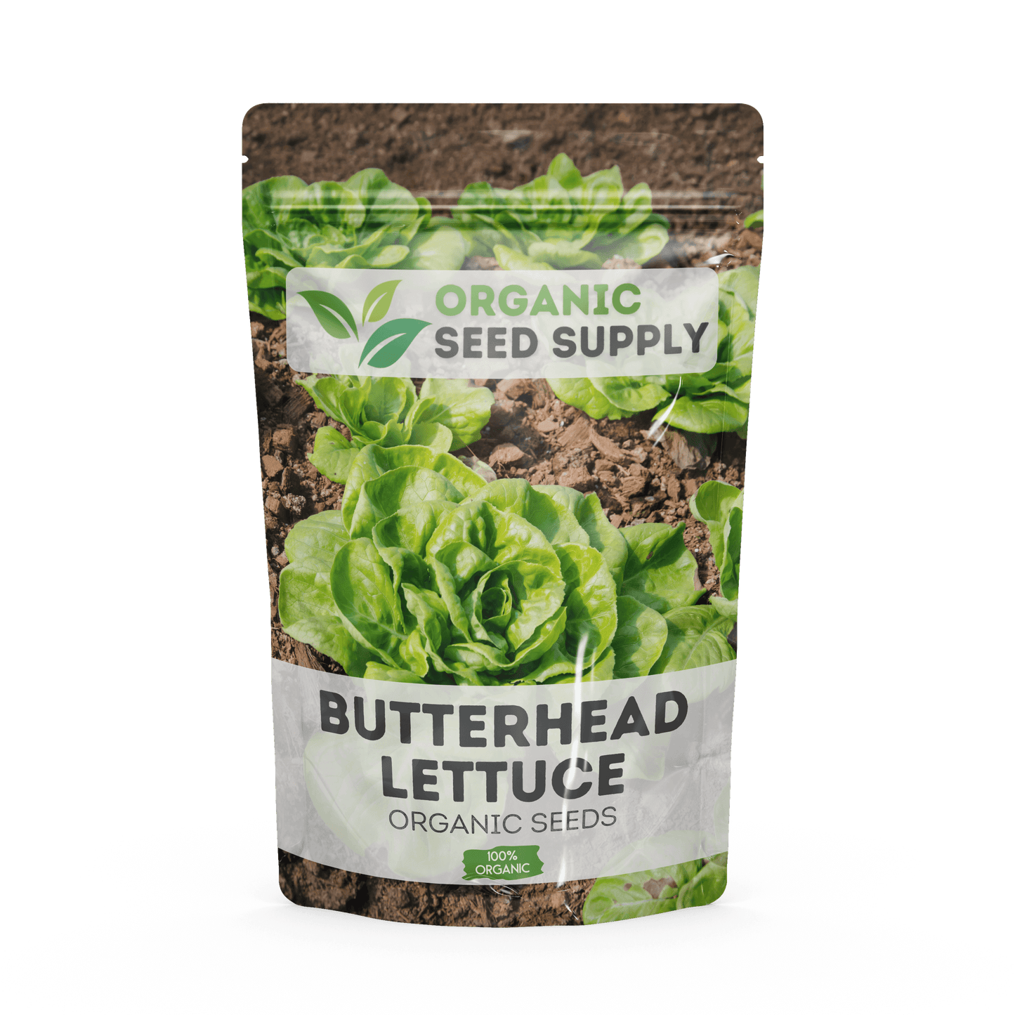 Organic Butterhead Lettuce Seeds