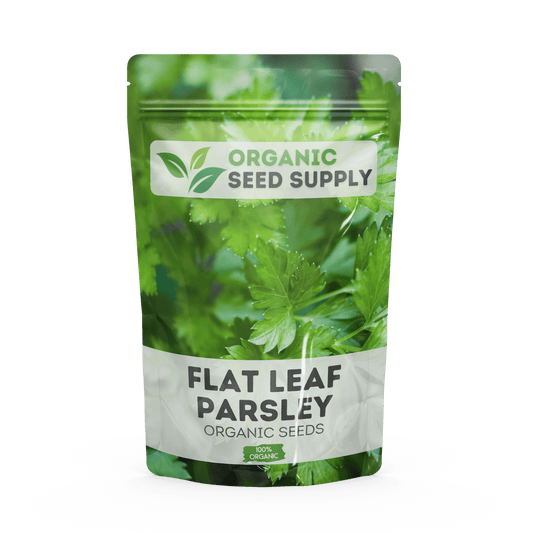 Organic Flat Leaf Parsley Seeds