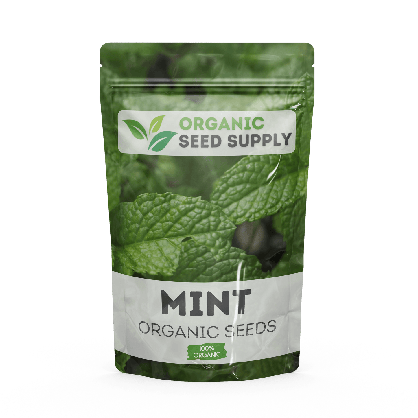 Organic Mint Seeds