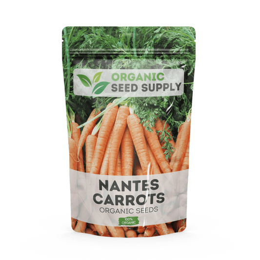 Organic Nantes Carrot Seeds