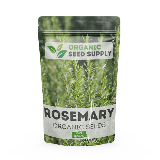 Organic Rosemary Seeds