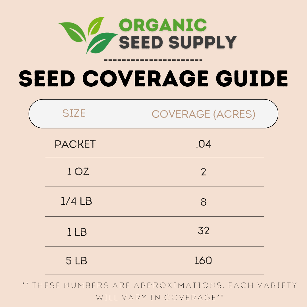 Organic Green Bell Pepper Seeds