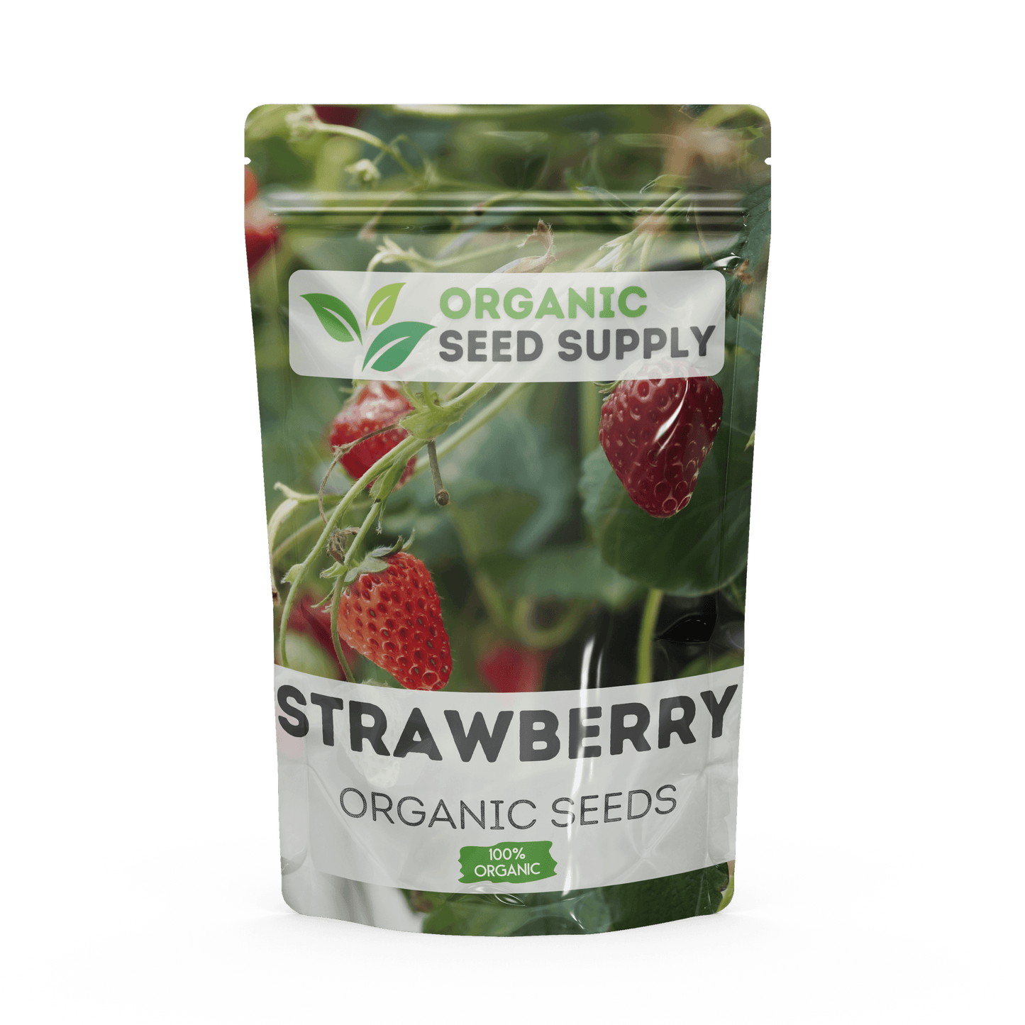 Organic Strawberry Seeds