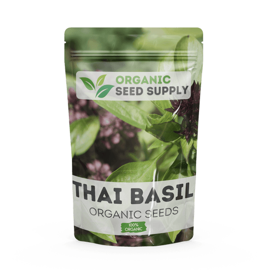 Organic Thai Basil Seeds