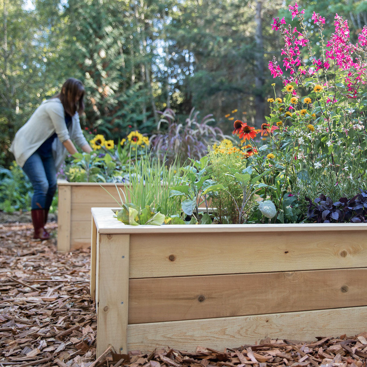 Eartheasy Natural Cedar L-Shaped Raised Garden Bed