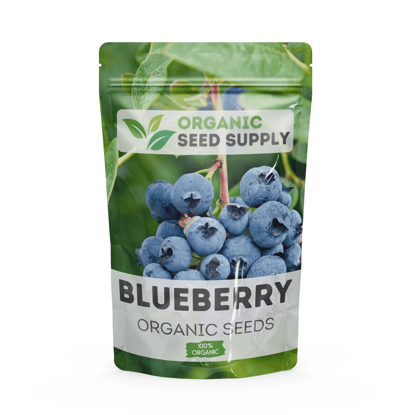 Organic Blueberry Seeds