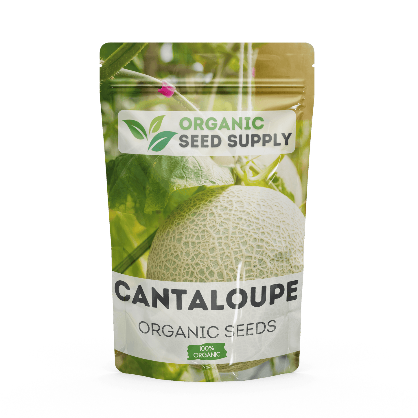 Organic Cantaloupe Seeds