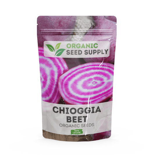 Organic Chioggia Beet Seeds