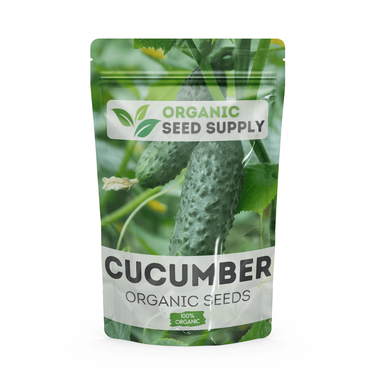 Organic Cucumber Seeds