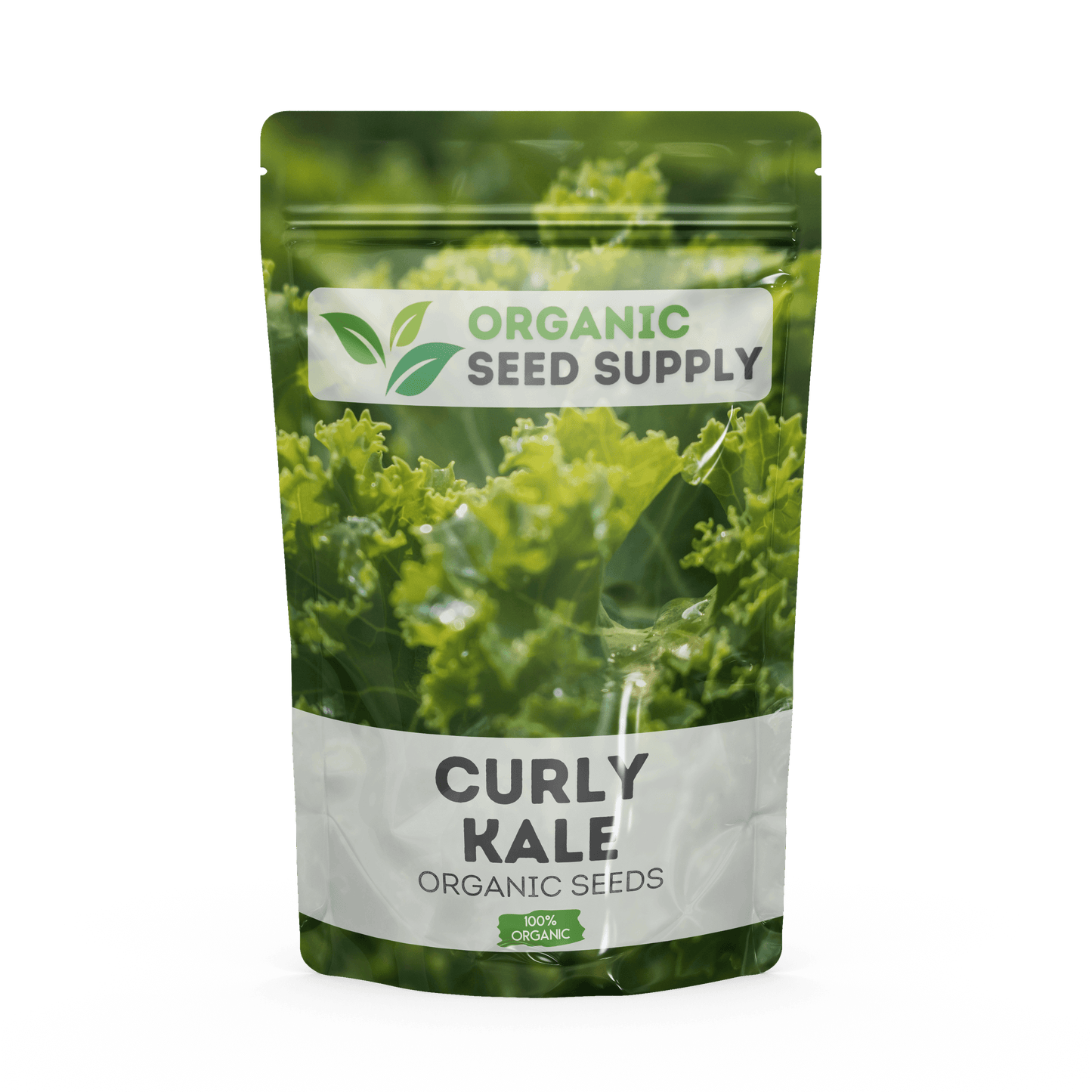 Organic Curly Kale Seeds