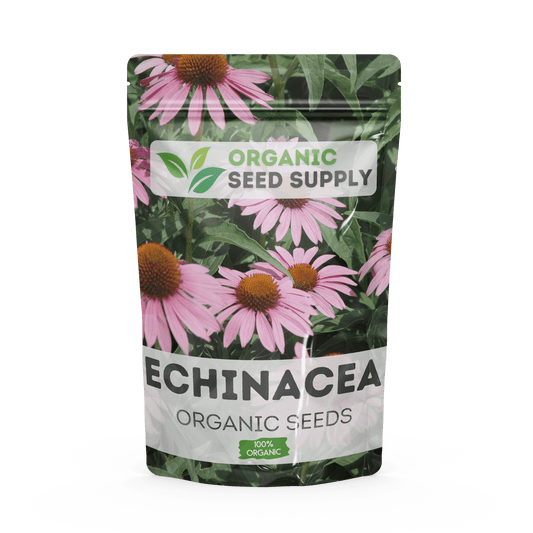 Organic Echinacea (Coneflower) Seeds