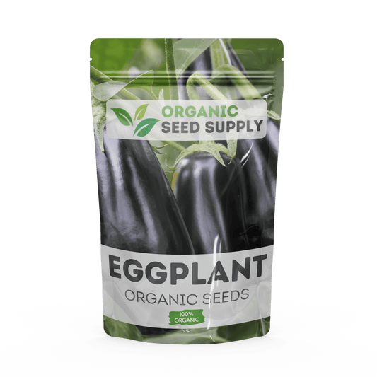 Organic Eggplant Seeds