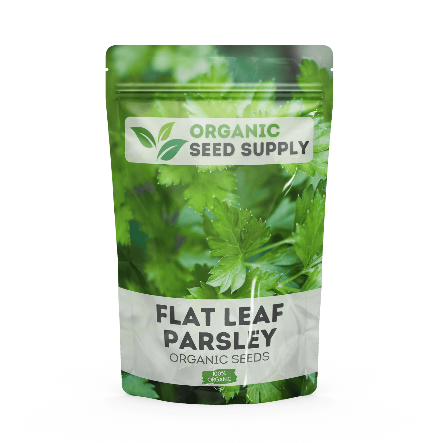 Organic Flat Leaf Parsley Seeds