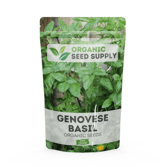 Organic Genovese Basil Seeds