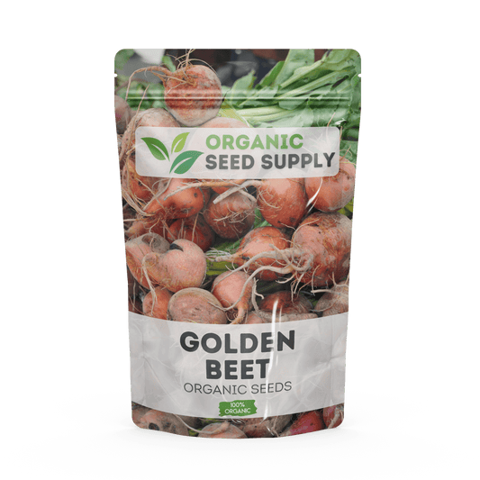 Organic Golden Beet Seeds