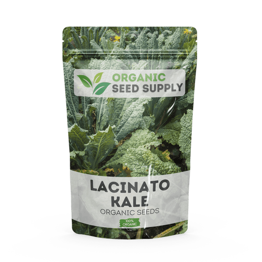 Organic Lacinato Kale Seeds