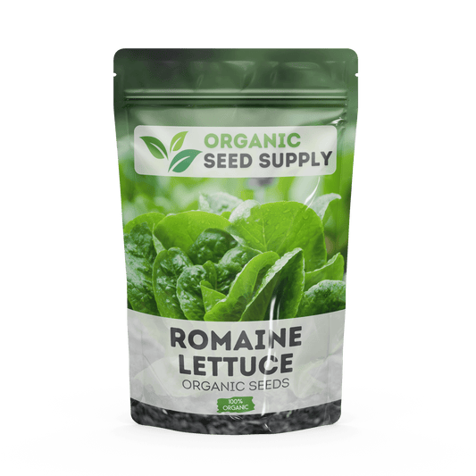 Organic Romaine Lettuce Seeds