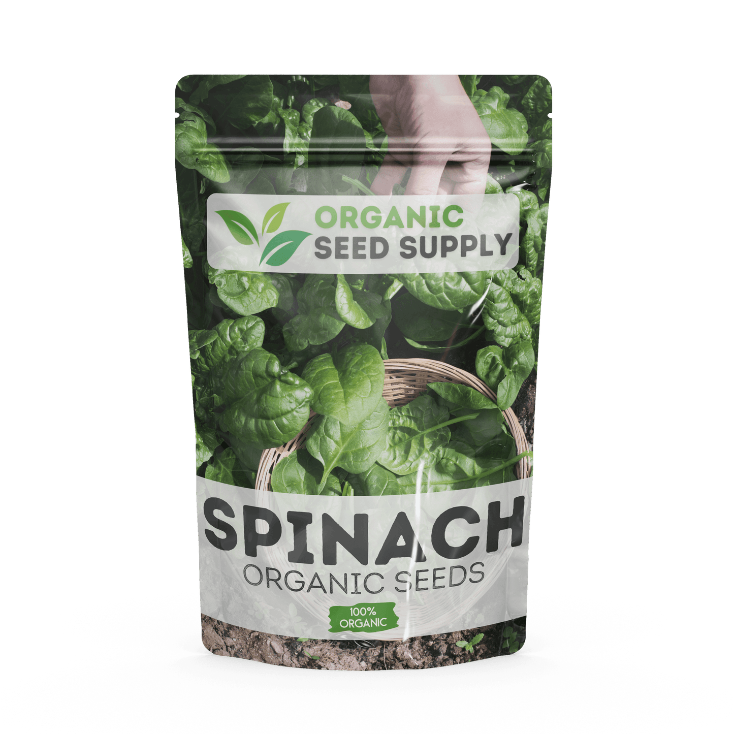 Organic Spinach Seeds